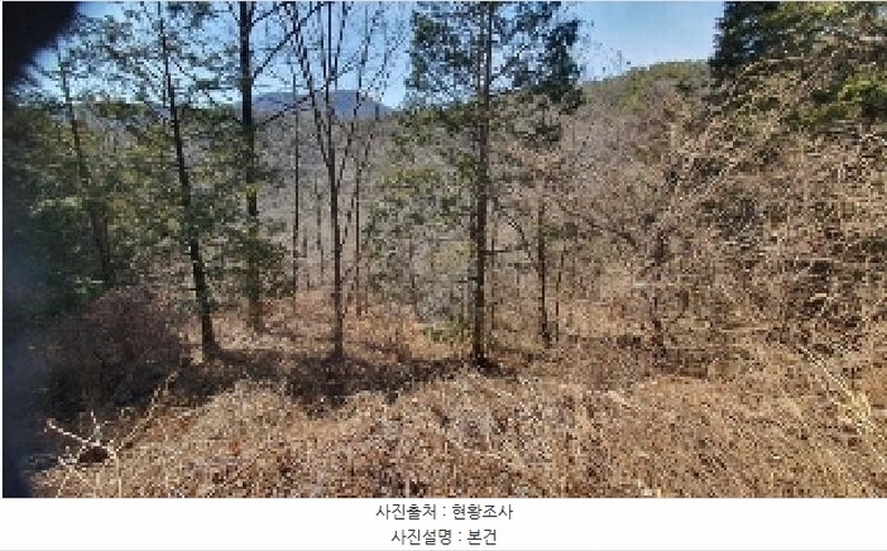 2025타경20013 경상남도 창원시 마산합포구 진북면 금산리 465 농지 경매 이미지