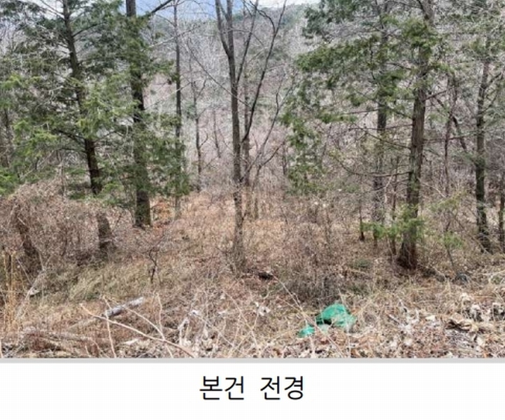 2025타경20013 경상남도 창원시 마산합포구 진북면 금산리 465 농지 경매 이미지