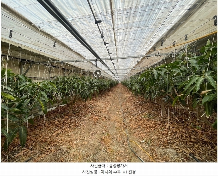 2025타경20068 경상남도 함안군 법수면 윤내리 50-16 농지 경매 이미지
