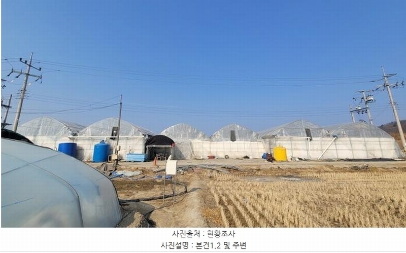 2025타경20068 경상남도 함안군 법수면 윤내리 50-16 농지 경매 이미지