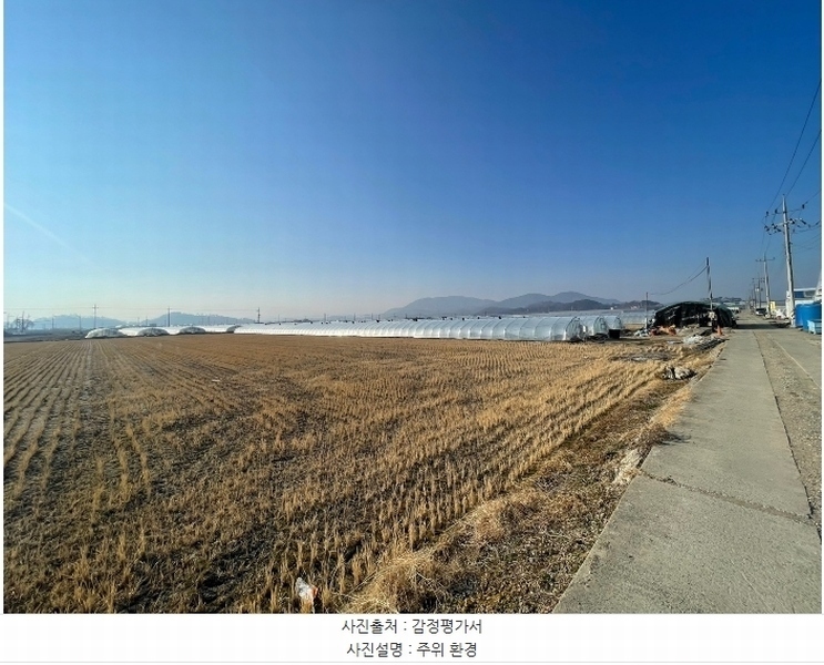 2025타경20068 경상남도 함안군 법수면 윤내리 50-16 농지 경매 이미지