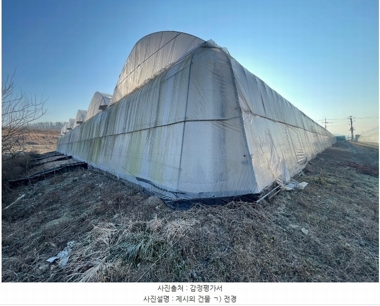 2025타경20068 경상남도 함안군 법수면 윤내리 50-16 농지 경매 이미지