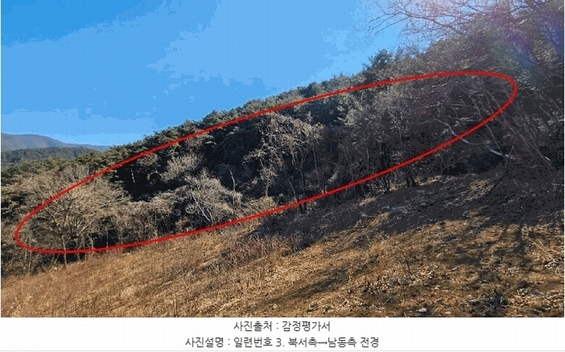 2025타경20353 경상남도 함안군 여항면 주서리 산139-5 임야 경매 이미지