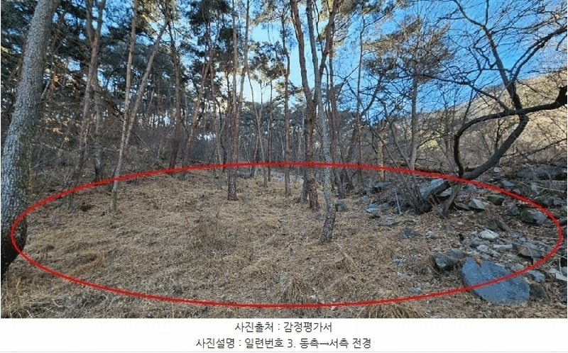 2025타경20353 경상남도 함안군 여항면 주서리 산139-5 임야 경매 이미지