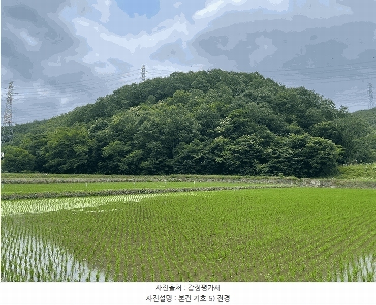 2025타경20631 경상남도 의령군 대의면 천곡리 산53 임야 경매 이미지