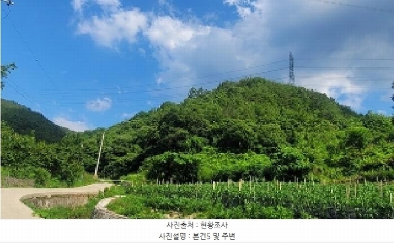 2025타경20631 경상남도 의령군 대의면 천곡리 산53 임야 경매 이미지