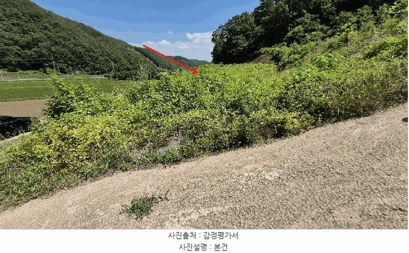 2025타경20650 경상남도 의령군 용덕면 연리 525 농지 경매 이미지