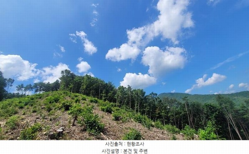 2025타경20741 경상남도 함안군 함안면 강명리 산223 임야 경매 이미지