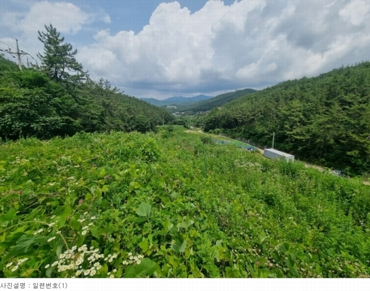 2023타경1797 경상남도 창원시 마산합포구 구산면 석곡리 400 농지 경매 이미지