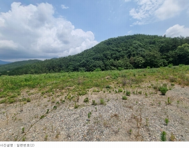 2023타경1797 경상남도 창원시 마산합포구 구산면 석곡리 400 농지 경매 이미지