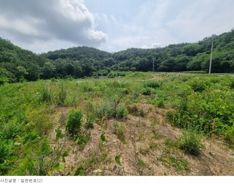 2023타경1797 경상남도 창원시 마산합포구 구산면 석곡리 400 농지 경매 이미지