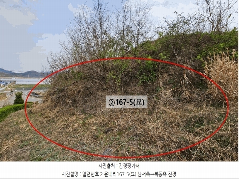 2023타경105460 경상남도 함안군 법수면 윤내리 167-5 묘지 경매 이미지
