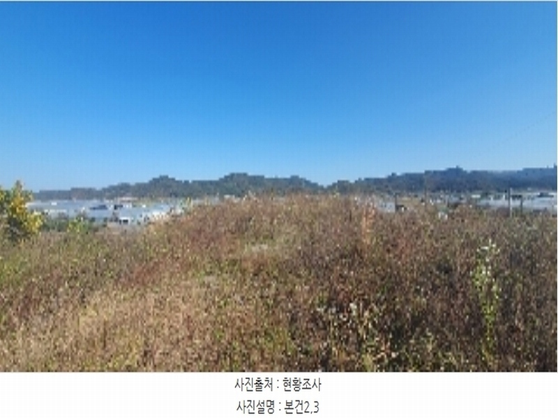 2023타경105460 경상남도 함안군 법수면 윤내리 167-5 묘지 경매 이미지