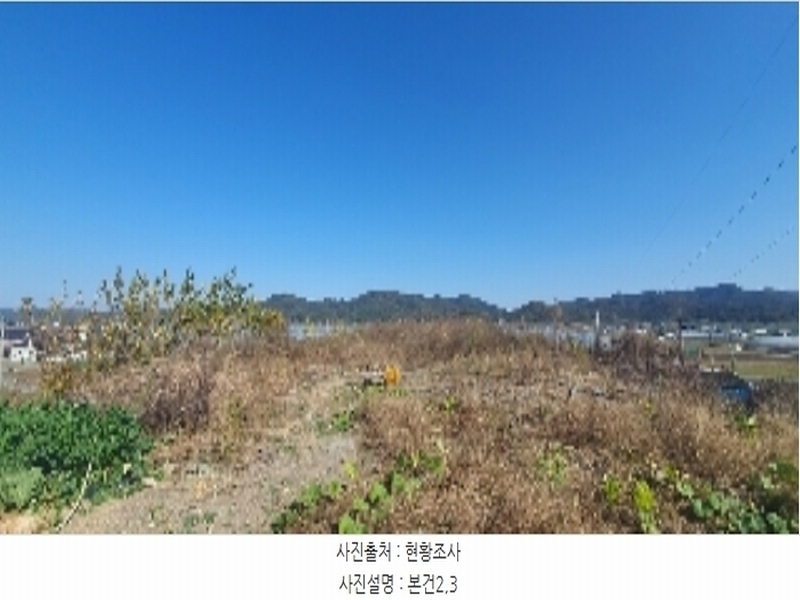 2023타경105460 경상남도 함안군 법수면 윤내리 167-5 묘지 경매 이미지