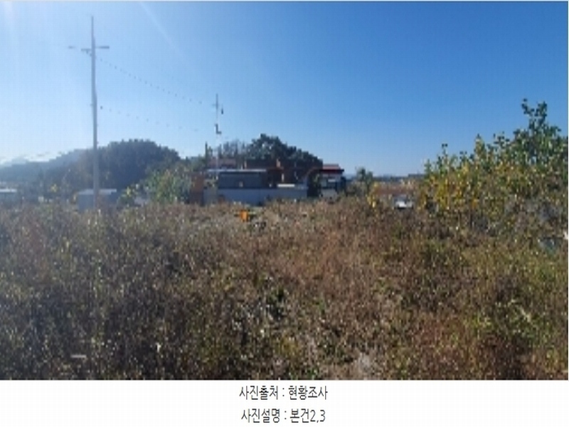 2023타경105460 경상남도 함안군 법수면 윤내리 167-5 묘지 경매 이미지