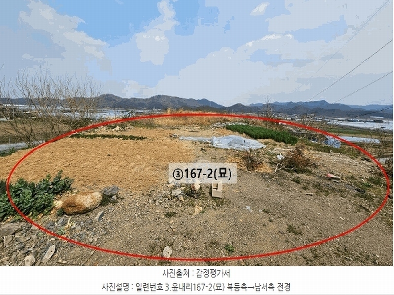 2023타경105460 경상남도 함안군 법수면 윤내리 167-5 묘지 경매 이미지