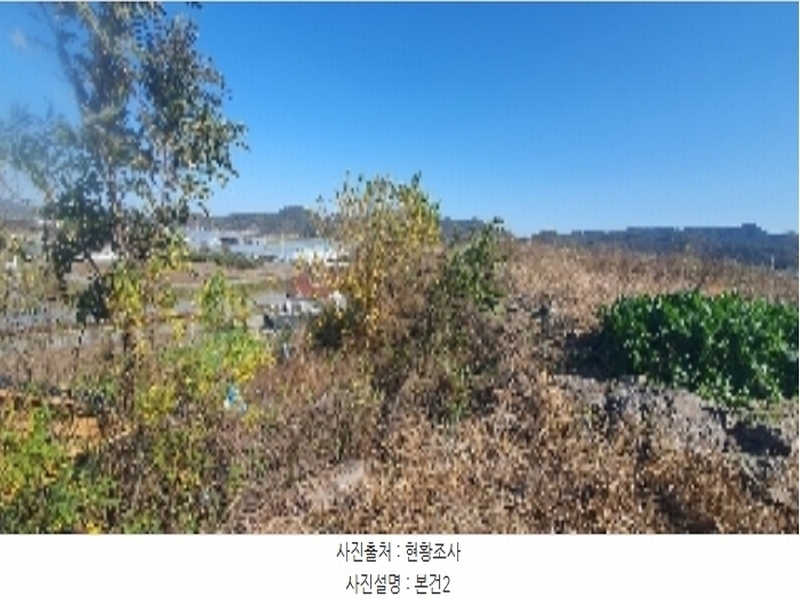 2023타경105460 경상남도 함안군 법수면 윤내리 167-5 묘지 경매 이미지