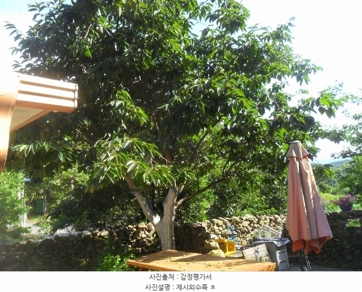 2023타경107275 경상남도 함안군 산인면 모곡리 1152 대지 경매 이미지