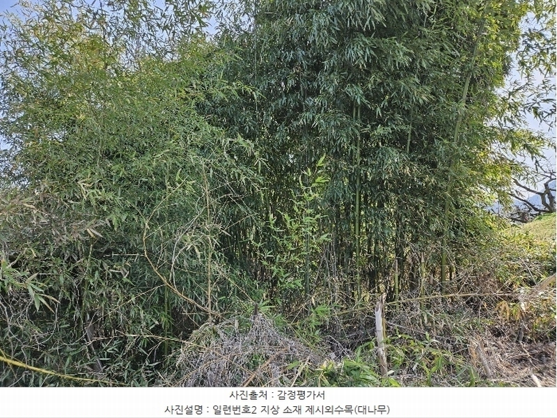 2024타경746 경상남도 함안군 칠북면 이령리 45-34 대지 경매 이미지