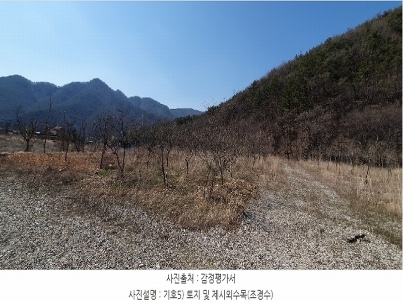 2024타경807 경상남도 창원시 마산합포구 진북면 추곡리 375-3 농지 경매 이미지