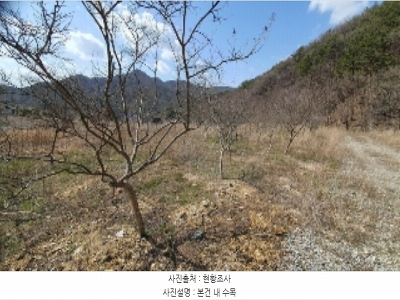 2024타경807 경상남도 창원시 마산합포구 진북면 추곡리 375-3 농지 경매 이미지
