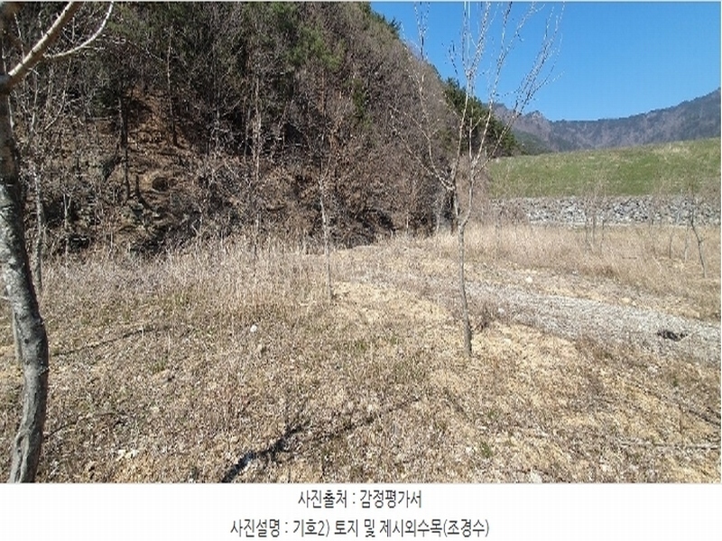 2024타경807 경상남도 창원시 마산합포구 진북면 추곡리 375-3 농지 경매 이미지