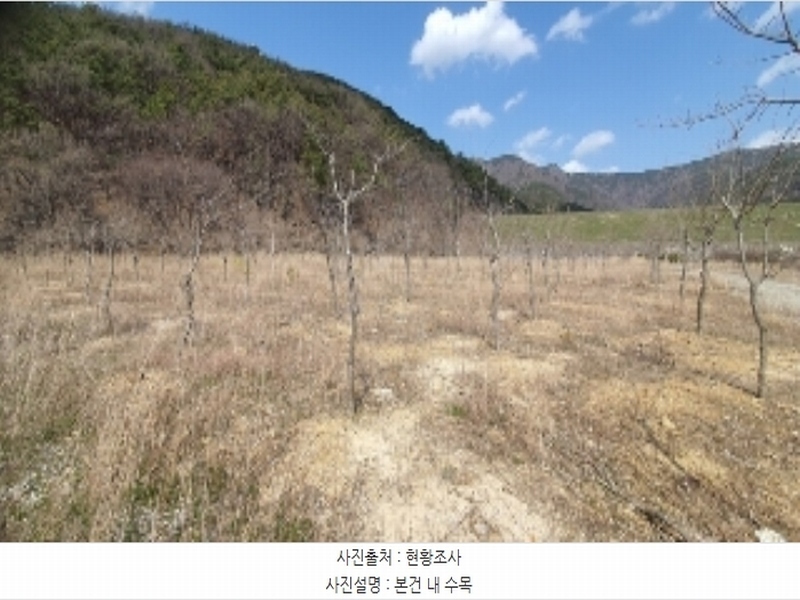 2024타경807 경상남도 창원시 마산합포구 진북면 추곡리 375-3 농지 경매 이미지