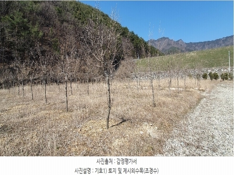 2024타경807 경상남도 창원시 마산합포구 진북면 추곡리 375-3 농지 경매 이미지