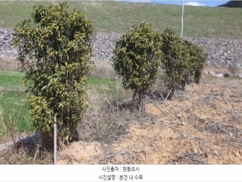 2024타경807 경상남도 창원시 마산합포구 진북면 추곡리 375-3 농지 경매 이미지