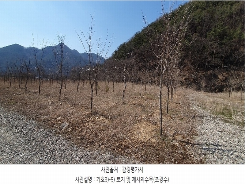2024타경807 경상남도 창원시 마산합포구 진북면 추곡리 375-3 농지 경매 이미지