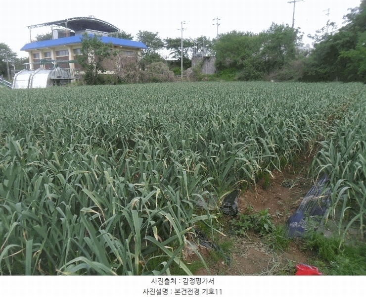 2024타경3318 경상남도 의령군 지정면 성산리 967 농지 경매 이미지
