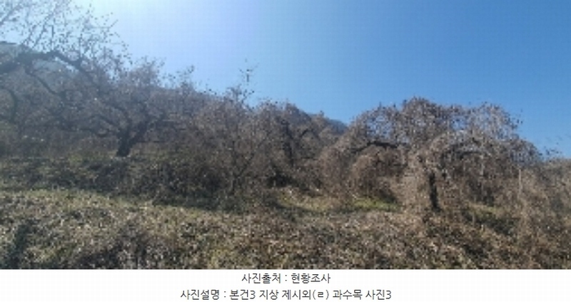 2024타경101281 경상남도 함안군 칠북면 봉촌리 321 과수원 경매 이미지