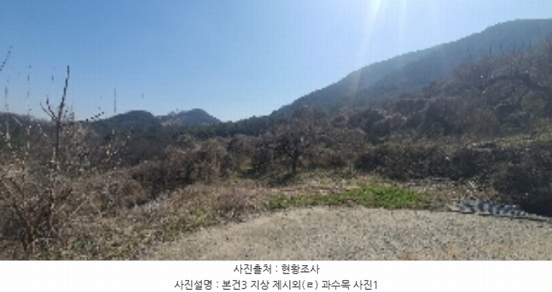 2024타경101281 경상남도 함안군 칠북면 봉촌리 321 과수원 경매 이미지