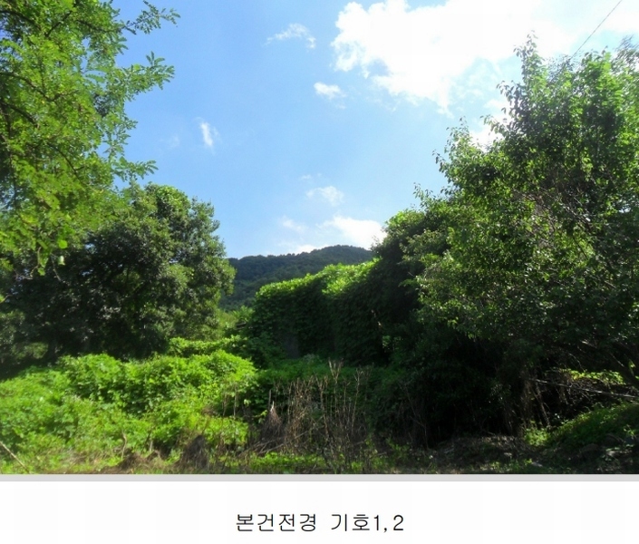 2024타경101281 경상남도 함안군 칠북면 봉촌리 321 과수원 경매 이미지
