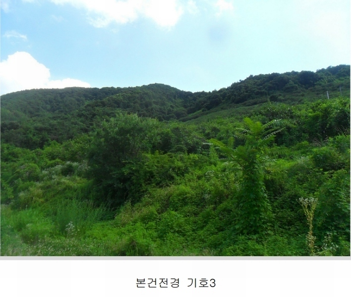 2024타경101281 경상남도 함안군 칠북면 봉촌리 321 과수원 경매 이미지