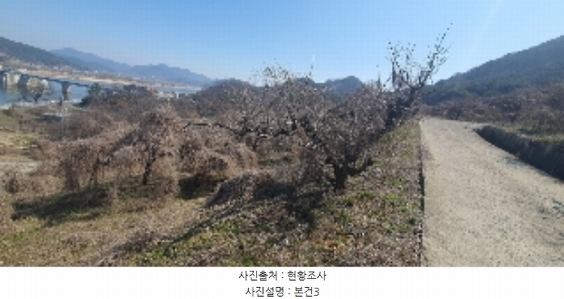 2024타경101281 경상남도 함안군 칠북면 봉촌리 321 과수원 경매 이미지