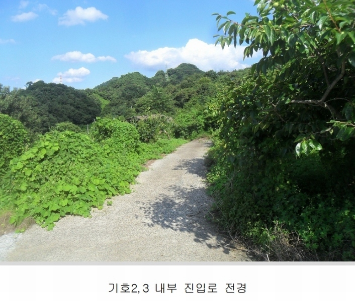 2024타경101281 경상남도 함안군 칠북면 봉촌리 321 과수원 경매 이미지