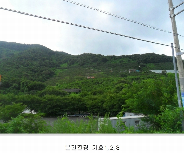 2024타경101281 경상남도 함안군 칠북면 봉촌리 321 과수원 경매 이미지
