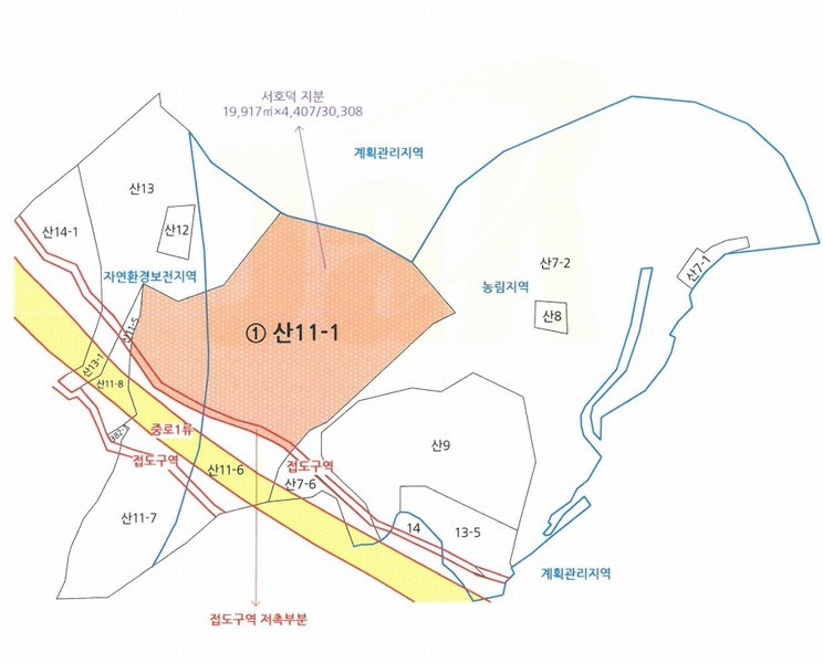 2024타경101335 경상남도 창원시 마산합포구 구산면 반동리 산11-1 임야 경매 이미지