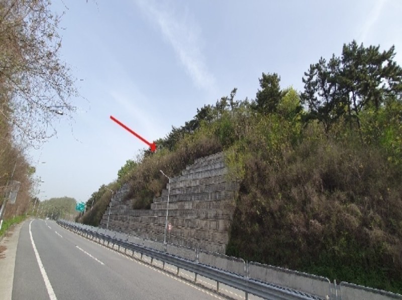 2024타경101335 경상남도 창원시 마산합포구 구산면 반동리 산11-1 임야 경매 이미지