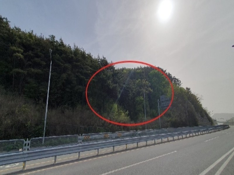 2024타경101335 경상남도 창원시 마산합포구 구산면 반동리 산11-1 임야 경매 이미지