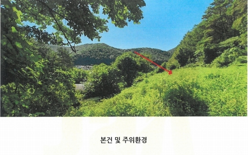 2024타경103980 경상남도 창원시 마산합포구 진동면 동전리 1064 농지 경매 이미지