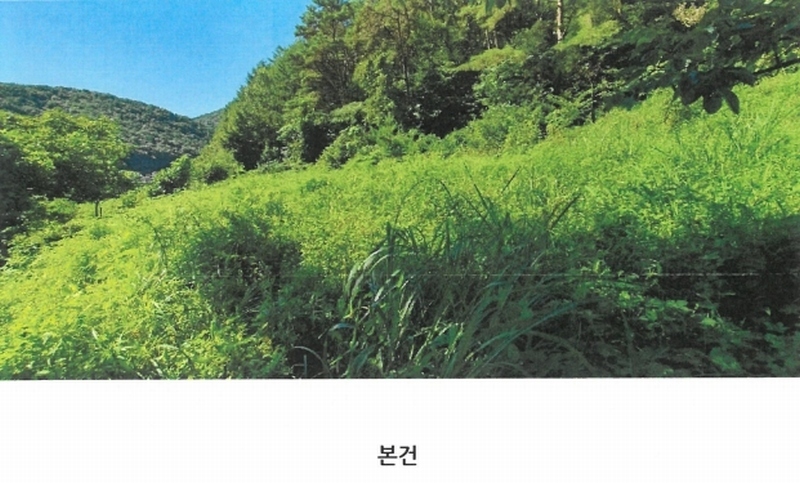 2024타경103980 경상남도 창원시 마산합포구 진동면 동전리 1064 농지 경매 이미지