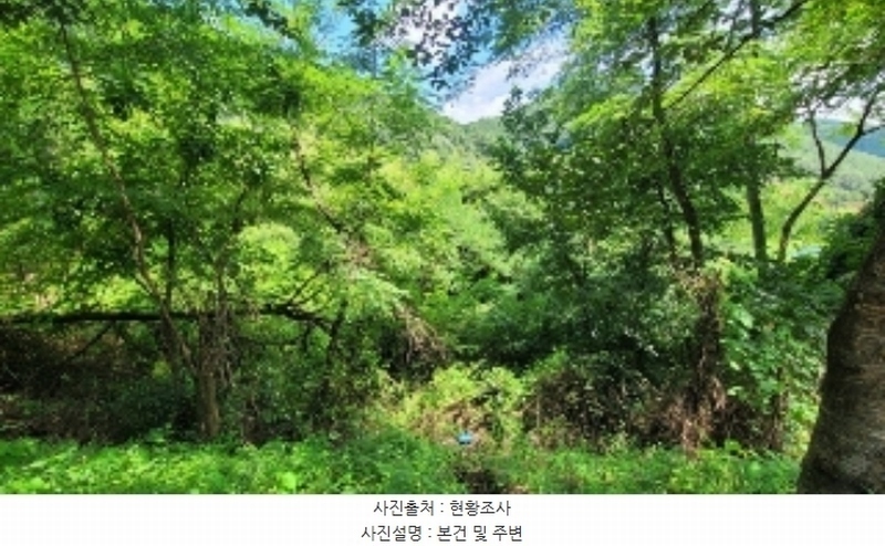 2024타경104471 경상남도 의령군 용덕면 용소리 55 농지 경매 이미지