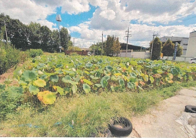 2024타경105320 경상남도 함안군 칠서면 용성리 424-74 농지 경매 이미지