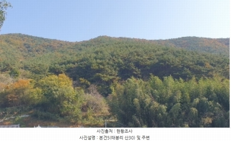 2024타경106316 경상남도 창원시 마산합포구 진동면 태봉리 산30 임야 경매 이미지