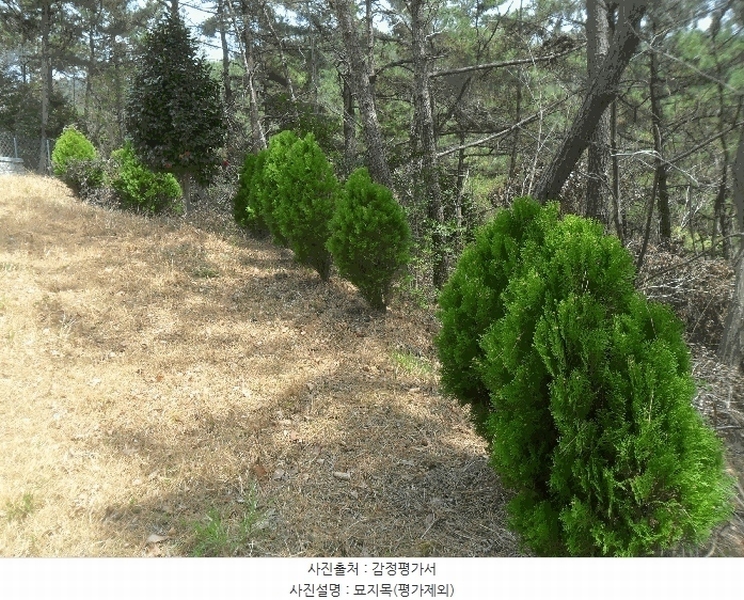 2024타경107470 경상남도 창원시 마산합포구 구산면 구복리 산64-7 임야 경매 이미지