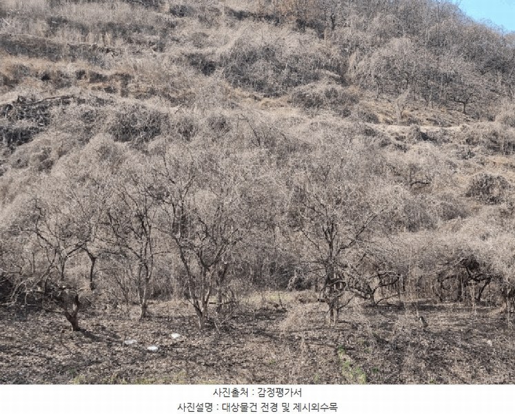 2025타경177 경상남도 함안군 칠북면 덕남리 1248 과수원 경매 이미지