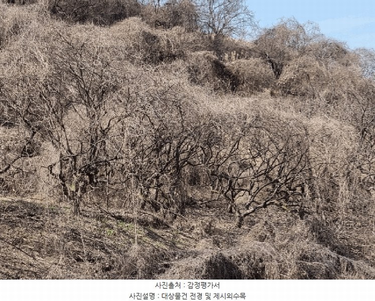2025타경177 경상남도 함안군 칠북면 덕남리 1248 과수원 경매 이미지