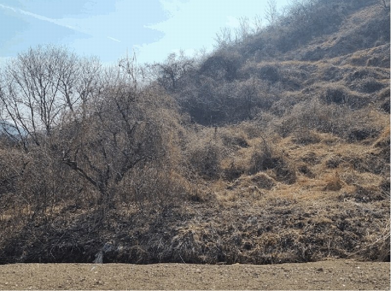 2025타경177 경상남도 함안군 칠북면 덕남리 1248 과수원 경매 이미지